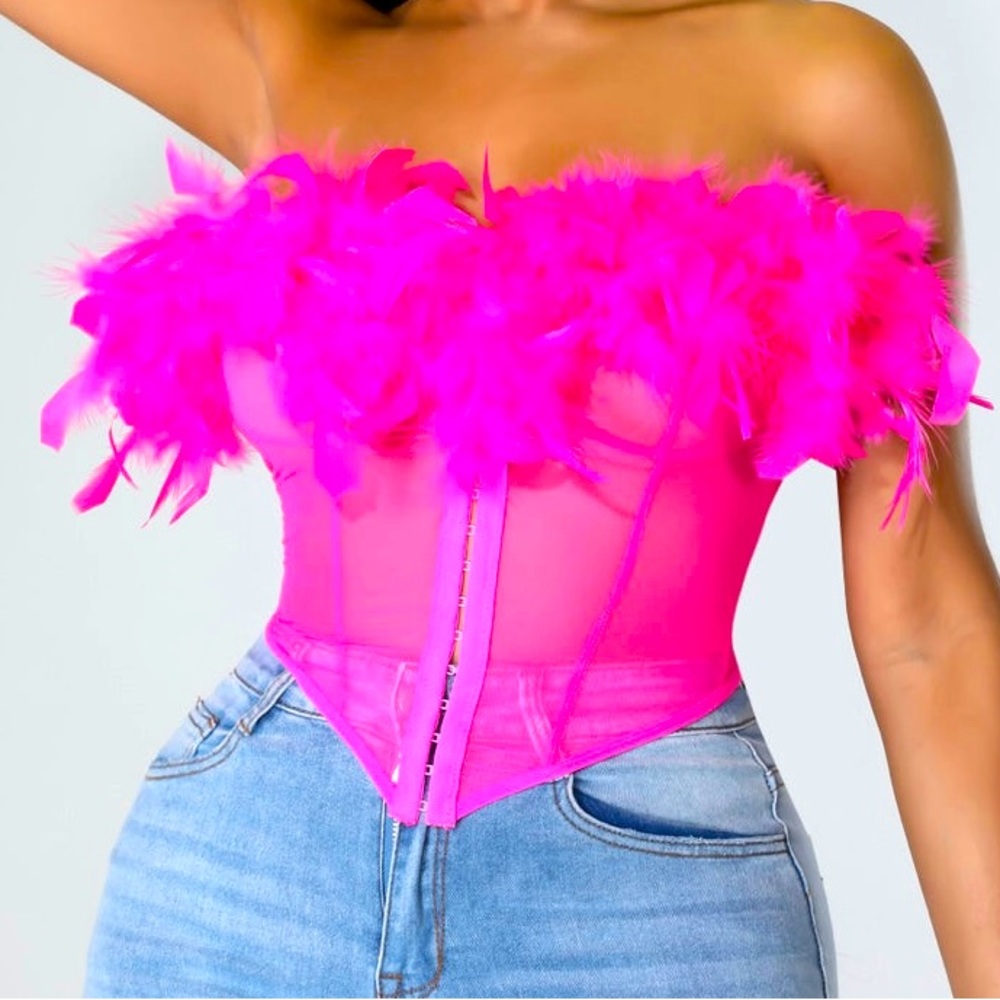 Sheer feathers corset
